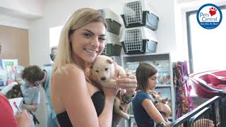 Pets Central Monthly Video - Aug 2021 by Pets Central 84 views 2 years ago 27 minutes