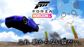 【寝る前ForzaHorizon5】夜に走る【Vtuber】