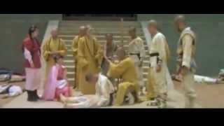 Shaolin temple strikes back - Final fight scene