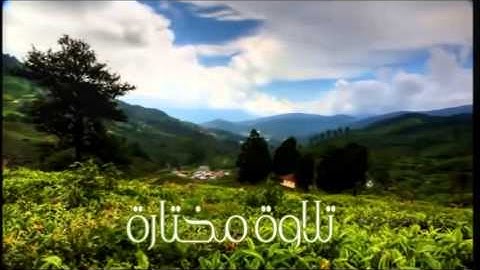 تلاوة مختارة ( من سورة الحشر )