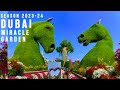 Dubai miracle garden  tips and guide in visiting the worlds largest natural garden