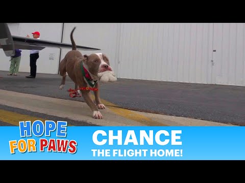 eldad hagar interview Chance - The Flight Home!!! Join me at the cockpit for an amazing ride. Please share.