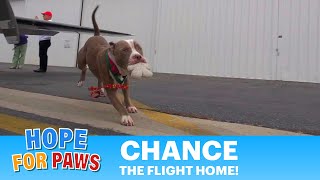 Chance - The Flight Home!!!  Join me at the cockpit for an amazing ride.  Please share. #story