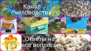 Канал Пчеловодства - Медовик