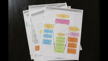 Behavior Plan Flow Charts and Tools