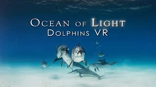 Ocean of Light - Dolphins | Trailer | Meta Quest Platform