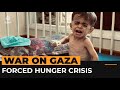 Extent Of Forced Hunger Crisis In Gaza Revealed In UN Report Al Jazeera Newsfeed Extent Of Forced Hunger Crisis In Gaza Revealed In UN Report Al Jazeera Newsfeed
