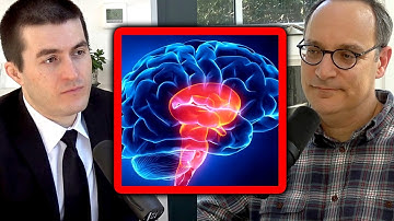 How Much of the Brain Do We Understand (Matt Botvinick) | Lex Fridman