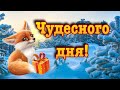 Чудесного дня! Доброе пожелание хорошего дня.