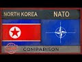 North Korea Military Strength 2020/- How Powerful is North ...