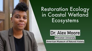 Alex Moore (Princeton, AMNH): Restoration Ecology in Coastal Wetland Ecosystems