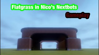 NN flatgrass gameplay