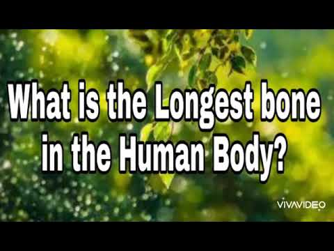 What is the Longest bone in the human body? - YouTube