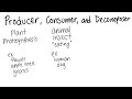 Producers, Consumers, and Decomposers