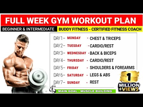 Gym Workout Plan For Muscle Gain