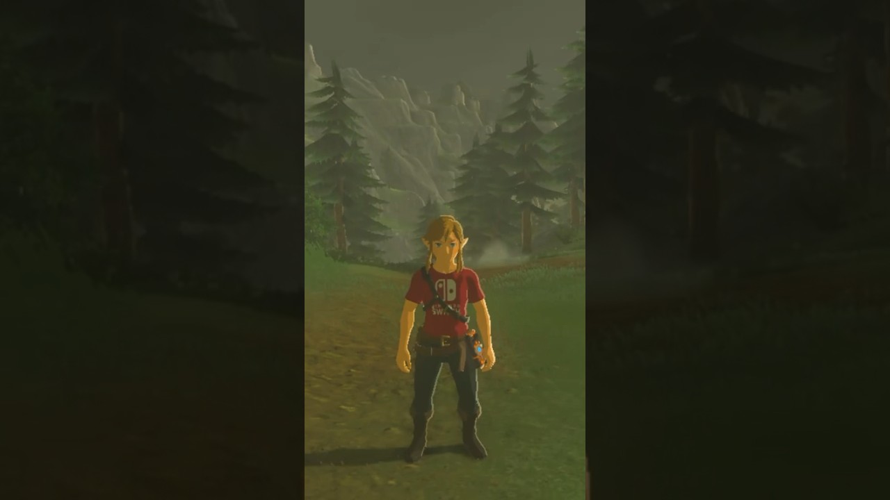 Link Flaunts a Nintendo Switch Shirt 