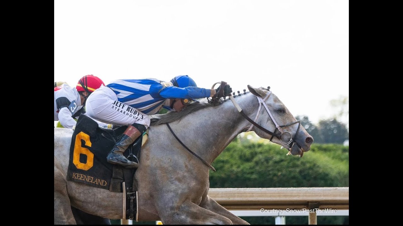 Breeders' Cup Betting Mistakes to Avoid