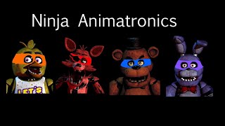 Ninja Animatronics