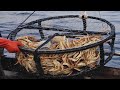 Awesome Big Crab Trap on The Boat - Crab Meat Processing Line in factory