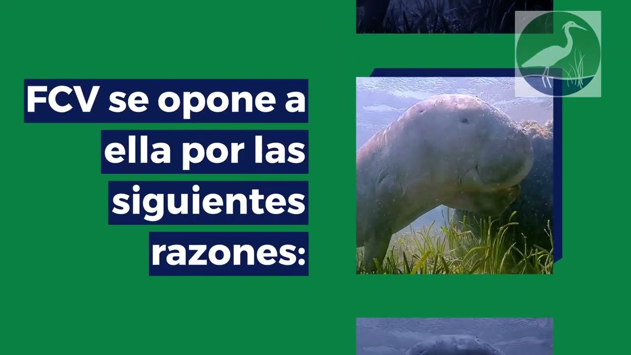 Aprenda sobre la legislación de hierbas marinas (SB 198 / HB 349)