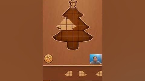 Block Puzzle: Wood Jigsaw Game Level 221 - 230 Walkthrough