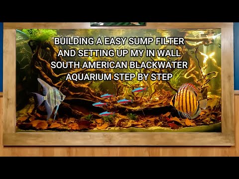 Amazon In Wall Biotope with Automatic Water Change Sump Build.
