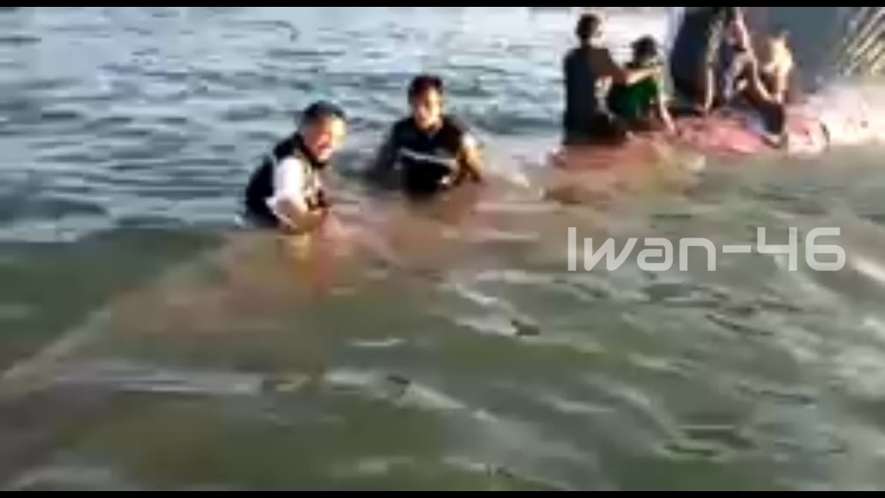 Heboh Hewan  Laut  Raksasa Paus terdampar di Nunbaun Sabu 