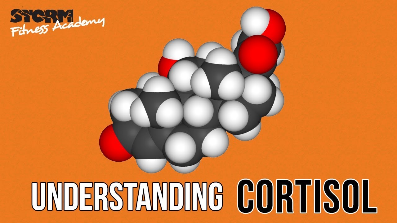 Understanding cortisol (the stress hormone) | Storm Fitness Academy
