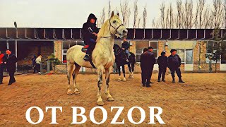 OT BOZOR! HORSE MARKET IN UZBEKISTAN! КОННЫЙ РЫНОК УЗБЕКИСТАНА!