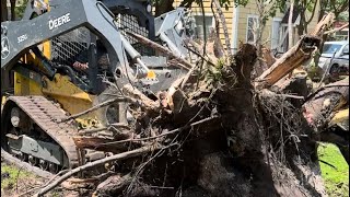Removing a Large Tree Stump from a Backyard in Houston #tree #treeremoval #stumpremoval