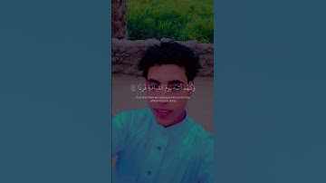 قران كريم بصوت جميل جدا #المصحف #الرحمن #راحة_نفسية