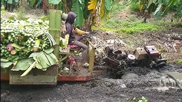 Xe công nông chở chuối đường lây lên giốc rất là nguy hiểm