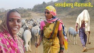 बाणाई-अर्चनाला मदत म्हणून पाहूणं गेलं मेंढराकडे | dhangari jivan | sidu hake | banai