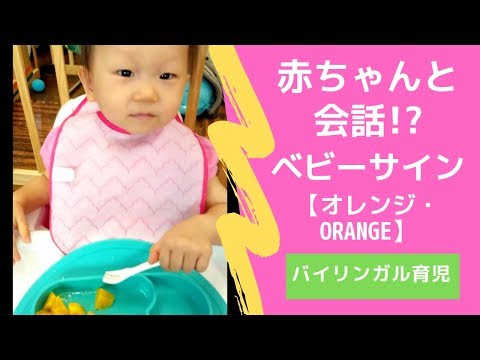 [バイリンガル赤ちゃん ]「オレンジ＆Orange」１歳の赤ちゃんと会話ベビーサインオレンジ [ Baby Sign Language - Orange]