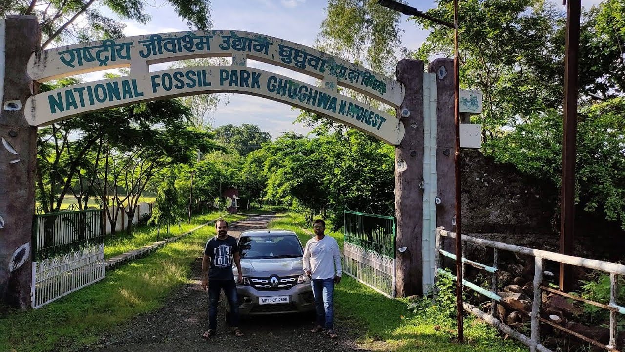 Discovering the secrets of the past at Fossil National Park Ghughua 