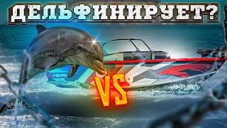 ДЕЛЬФИНИРУЕТ ЛОДКА FISHPRO X3? НАЙДЕМ и РАЗБЕРЕМСЯ. РАСКЛАДЫВАЕМ ВСЕ ПО ПОЛОЧКАМ. VBOATS FISHPRO 46