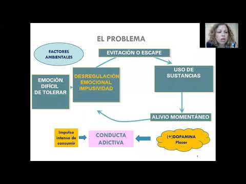 Clase | Cuando la crisis es una adicción desde la perspectiva de la DBT | Por: Mariví Navarro