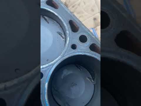 #F14D3 шортблок