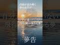 自分が乗っていない飛行機が落ちる夢の意味 危機を回避する予知夢