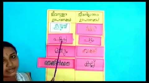 Std 3 Evs Unit 1 Class 03 White Board VI