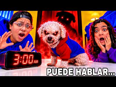 MY DOG CAN TALK 😱 NEVER ASK YOUR DOG IF IT CAN TALK AT 3:00 AM | Pathofail