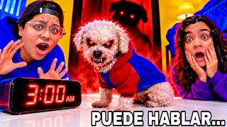MY DOG CAN TALK 😱 NEVER ASK YOUR DOG IF IT CAN TALK AT 3:00 AM | Pathofail screenshot 1