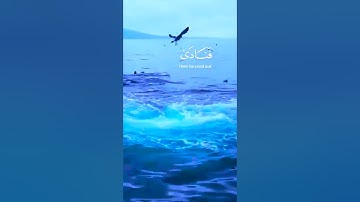 ايات تلاوات قرأن نور صدري ترتيل قاريء حالات خشوع ( وذا النون اذ ذهب مغاضبا ) سورة الانبياء