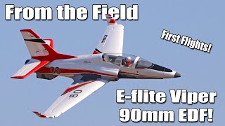 Maiden Flights with the E-flite Viper 90mm EDF