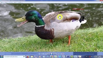 Как увеличить размер фото без потери качества, как увеличить часть фото