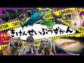 【危険生物ずかん】危険な生き物たちが大集合!【子供向け生き物アニメ】海の生き物 動物 虫の危険生物たち サメ サソリ ライオン