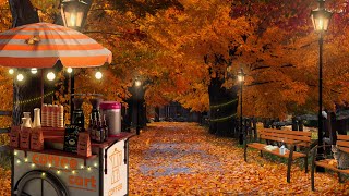 Let's have a coffee at autumn park 🍂☕️🍁  | Autumn ambience | leaves , breeze, birds sounds