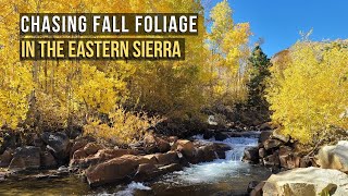 Chasing Fall Foliage in the Eastern Sierra: A Must-Do Along Highway 395 by The World Cruisers 1,977 views 1 year ago 13 minutes, 3 seconds