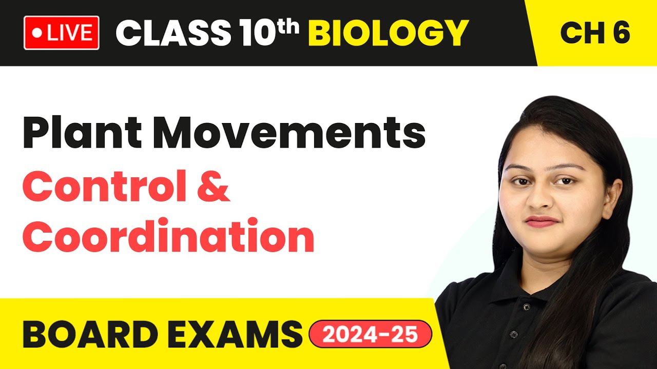 Plant Movements - Control and Coordination | Class 10 Biology Chapter 6 ...