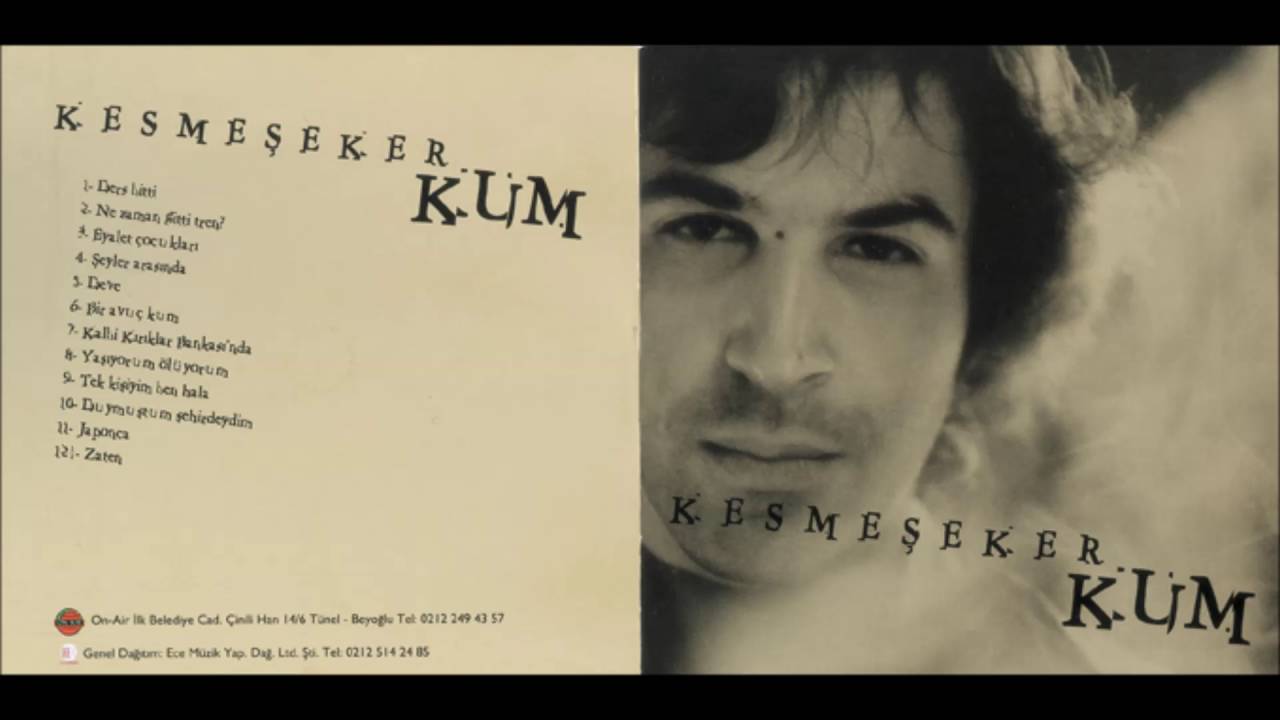 musical things panosundaki pin